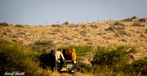 17th Nov 2012 - Wildlife + Star Gazing, Kirthar National Park.