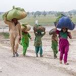 Faces of Sindh