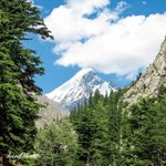 Falak Sher 5,918 metres (19,416 ft)  highest peak of the Swat.