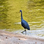 Karachi Zoological Garden