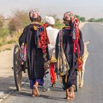 Malangs on the way to Sehwan Sharif