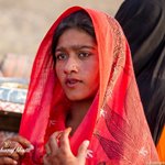 Channan Pir, Cholistan Desert, Punjab.