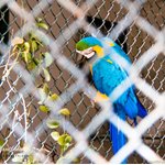 Karachi Zoological Garden