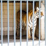 Karachi Zoological Garden