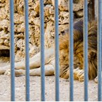 Karachi Zoological Garden