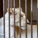 Karachi Zoological Garden