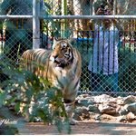 Karachi Zoological Garden