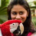 Karachi Zoological Garden
